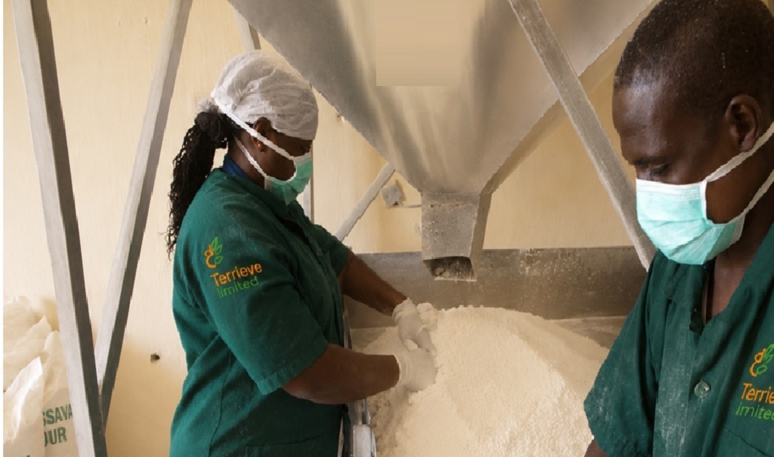 Cassava processing facility